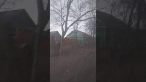 обзор г Свободный амурская область