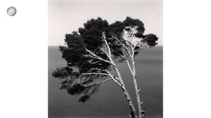 Michael Kenna | Great Artists | Video by Mubarak Atmata | ArtNature