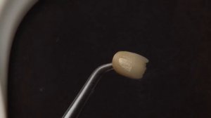 Техника нанесения внутренних красителей Internal stain керамики Noritake™ CZR