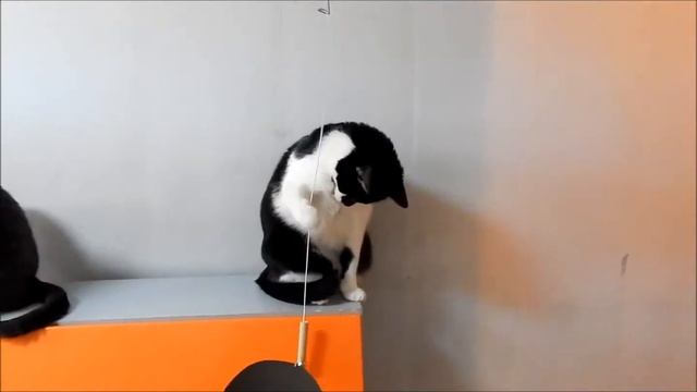 Приют Кожухово смотреть онлайн