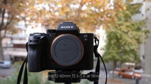 Sigma 17-70mm f2.8-4 vs Lumix 12-60mm f3.5-5.6 vs Sigma 30mm f1.4 Bokeh battle | Side by side