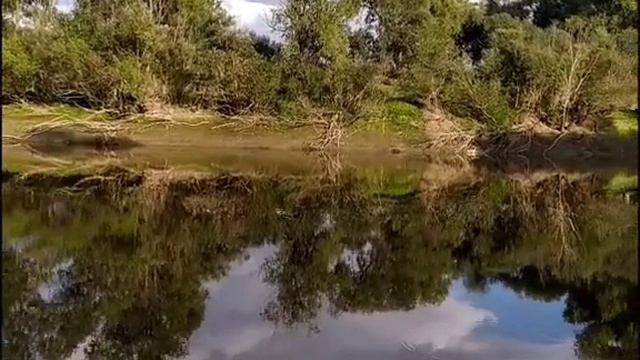 Отражение реки Омь