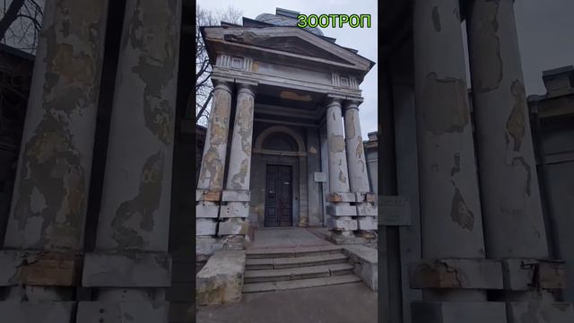 Одесса утомленная солнцем. Пастера. Архитектура. Старые дома. История города. Фасад. #зоотроп