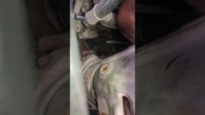 Toyota 1AZ FSE Engine Thermostat Replacement