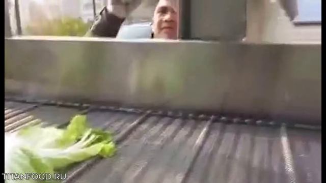 Мойка и сушка овощей, салатов Titan смотреть онлайн