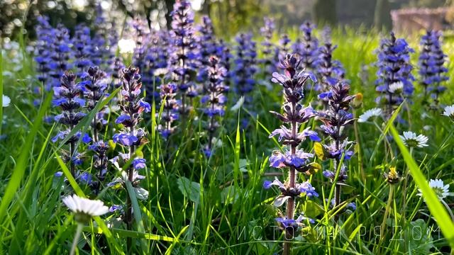 Оля вместе с сыном бежала от мужа без оглядки. А спустя 5 лет увидев… смотреть онлайн