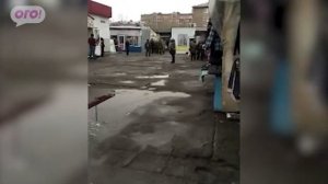 Пьяная драка  в Омске.