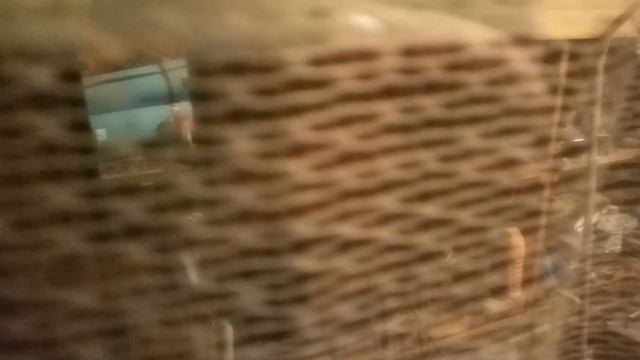 Последний, спонтанный выезд с прицепом в этом году. смотреть онлайн