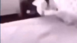 челик спит с большим тараканом (мем) оригинал