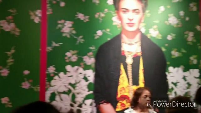 Not only Sziget: Frida Kahlo @MNG смотреть онлайн