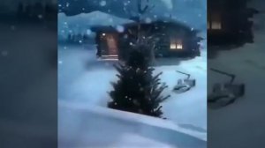 Пришла зима А друга нет