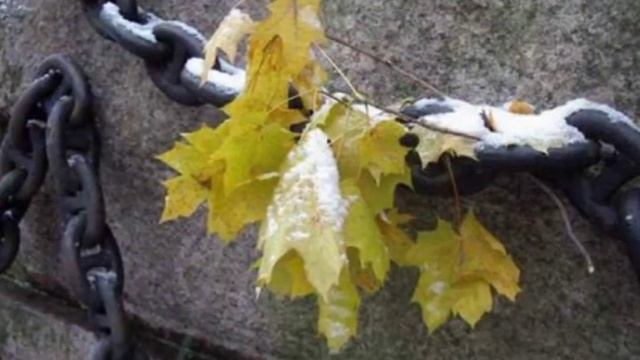 Какая осень на дворе... смотреть онлайн