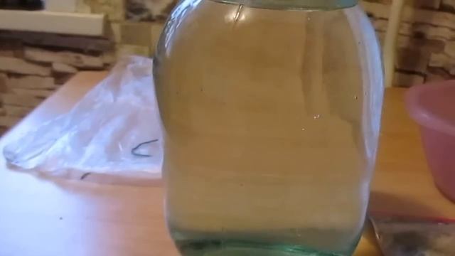 Укоренение #можжевельника спустя 2,5 месяца Часть 2 смотреть онлайн