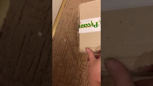 Распаковка посылки Русский огород смотреть онлайн