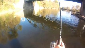 Lure Fishing #41 - Berkley Gulp and Curly Tail Jig Fishing for Smallmouth Bass and Rock Bass