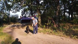 алабаи питомника Аз Марал