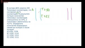 Биология. Решение задач на ДНК и РНК