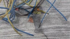 Еловые веточки своими руками. Простой мастер-класс пошагово