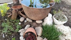 Садовая дорожка из спилов дерева своими руками. Как поделить участок земли на несколько зон.