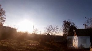 Голуби Турецкая Такла 2021 ?