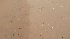 Море зимой. Станица Благовещенская (Анапа)