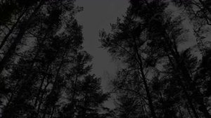 Подруга слезно попросила мою жену сделать это с ним... Интересные истории измен, аудио рассказ