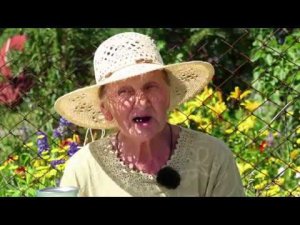 Жилищная лотерея тираж №247 от 20.08.17