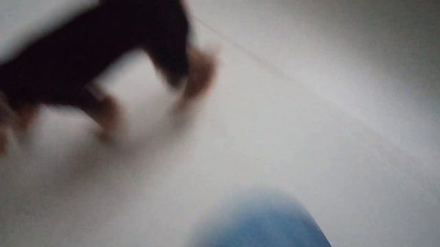 Ника рассказывает о себе смотреть онлайн