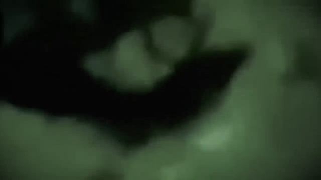 ЧТО ЭТО?! ЛЮДИ В замешательстве 12.11.19
