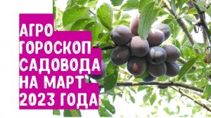 Агрогороскоп садовода на март 2023 года.  Агрогороскоп садівника на березень 2023 року