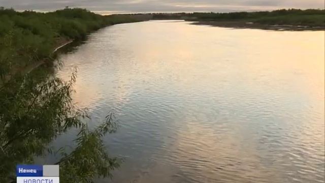 В НАО ПЛАНИРУЮТ ВОСПОЛНЯТЬ ЗАПАСЫ СИГОВЫХ ПОРОД РЫБ смотреть онлайн