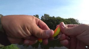 Вечерняя прогулка со спиннингом по красивой реке!!! Рыбалка на спиннинг!