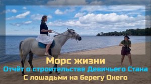 Морс жизни / Отчёт о строительстве Девичьего Стана / Фотосессия с лошадьми на берегу Онего