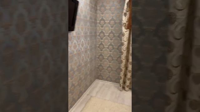 Пушкино смотреть онлайн