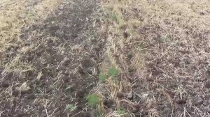 БДМВ 2,3х2 КД "Кортес" производства ООО "БДТ-АГРО" против Амазон "Катрос"