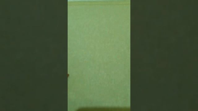 ткани-дешево.рф   Уличная ткань Duck Хлопок с пропиткой зеленый №426 Турция 180 см