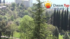 jamtour.org Дом отдыха Солнечный (Гагра, Абхазия) вид с балкона на море и территорию