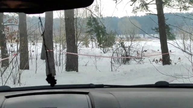 Метелица. круговая гонка ORM. лайт inside. vwTouareg смотреть онлайн