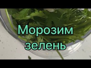 Заготовки зелени на зиму