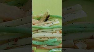 7 сентября 2024 г.