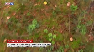 Жители Пушкина добиваются запрета на застройку Кондакопшинского болота