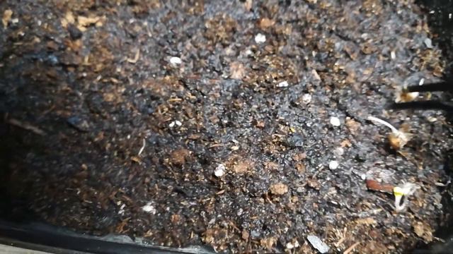 Срочная посадка! смотреть онлайн