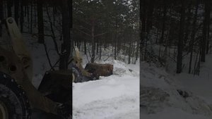 #погрузчик #TL-150 #курган45 #шишказауралья