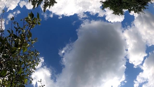 Секреты мудрой женщины в общении с любимым смотреть онлайн