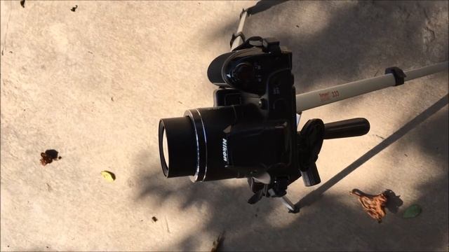 Nikon L340 photography, Best photos clicked | by Broadcast_Everything смотреть онлайн