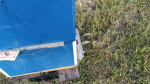 Беда!!! И другие проблемы при сильном ветре.