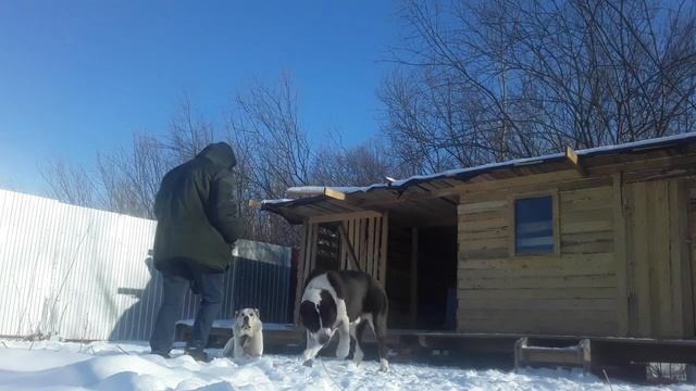 Заначка Ёжика смотреть онлайн