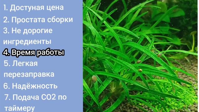 Мой аквариум. 7 причин выбрать систему подачи углекислого газа, а не углекислотный баллон смотреть онлайн