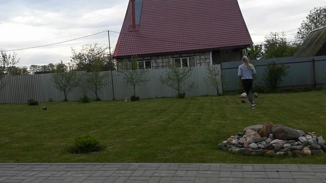 Упражнения в движении
