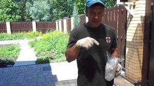 Советы от Панкрата Приготовление смеси для декоративного бетона